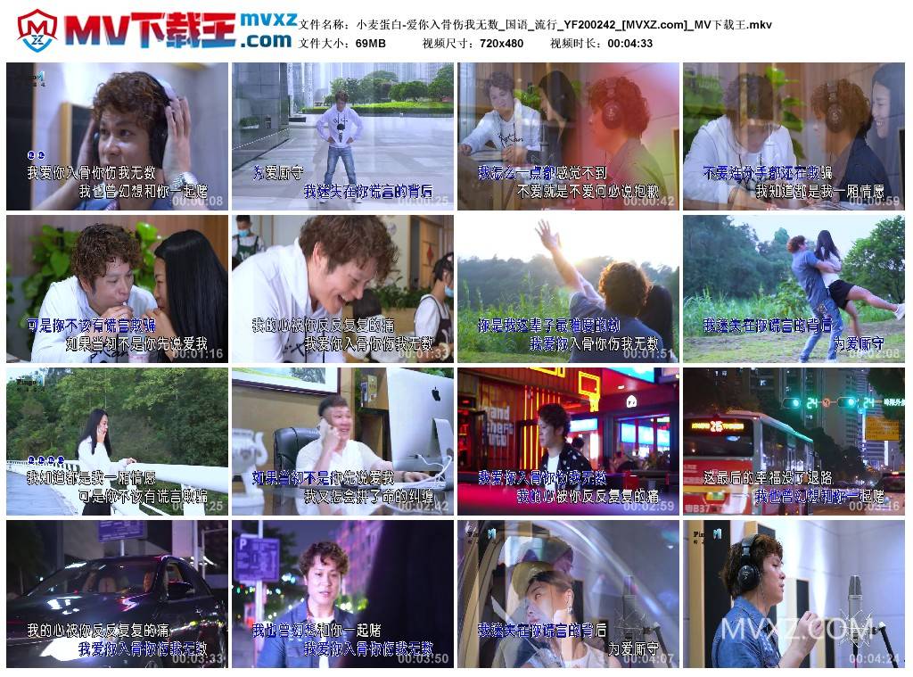小麦蛋白-爱你入骨伤我无数_国语_流行_YF200242